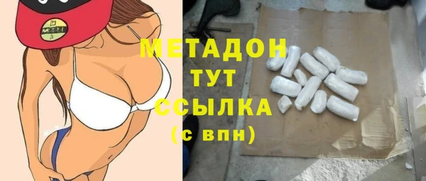 прущие грибы Новый Уренгой
