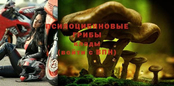 ALPHA-PVP Михайлов
