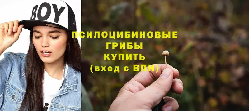 Псилоцибиновые грибы Magic Shrooms  где можно купить наркотик  Разумное 